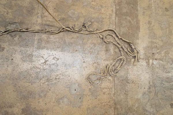 Echoes of the shapes in each other caught my eye