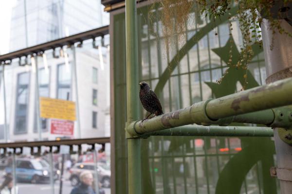 A surprise, and a very welcome one